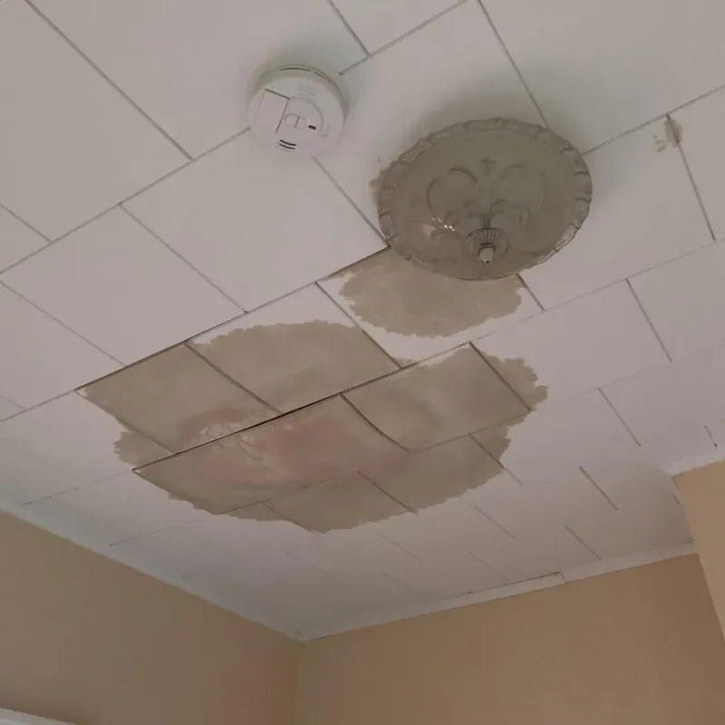 Ceiling Water Damage Repair in Blue Mound, TX