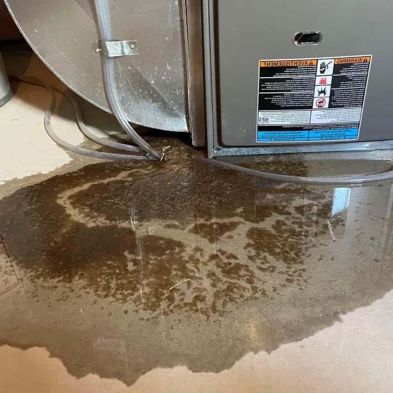 Pipe Burst and Leak Restoration in Blue Mound, TX