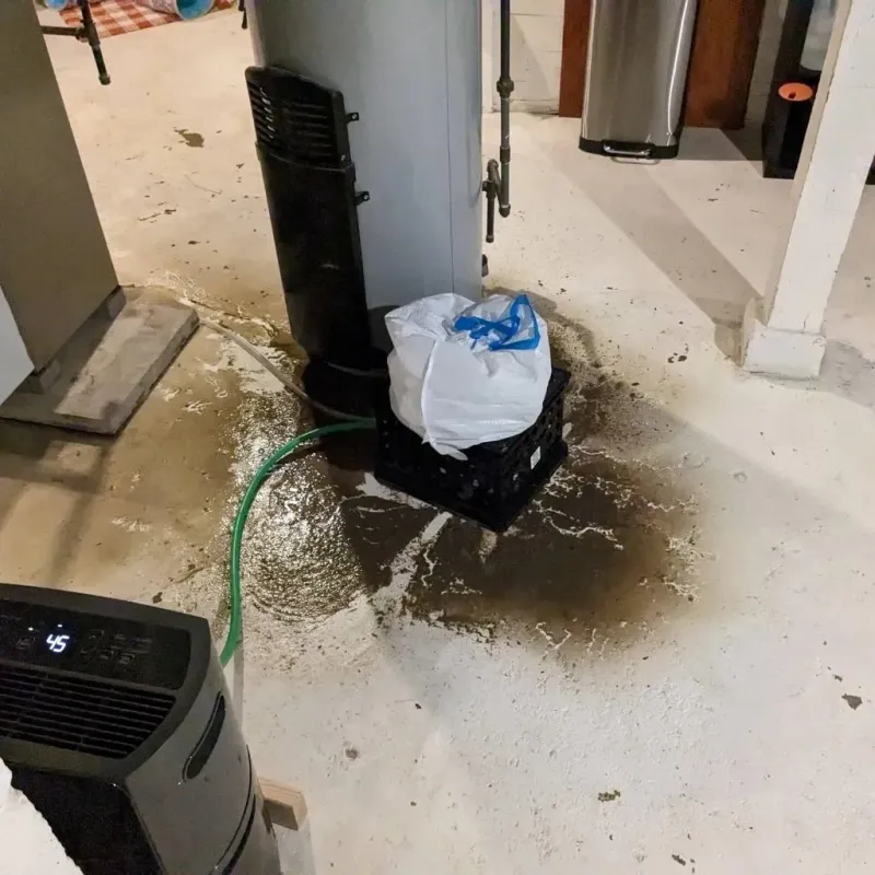 Sewage Backup Cleanup Service in Blue Mound, TX